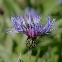 _1040123 Exposure adjusted