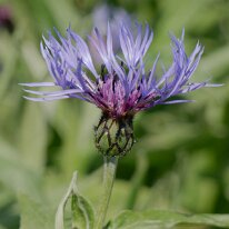 _1040124 Exposure adjusted