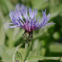 _1040125 Exposure adjusted