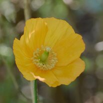 _1040130 Exposure adjusted