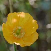 _1040131 Exposure adjusted