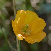 _1040133 Exposure adjusted