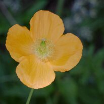 _1040138 Exposure adjusted