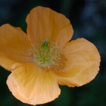 _1040140 Exposure adjusted