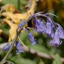 _1040144 Exposure adjusted