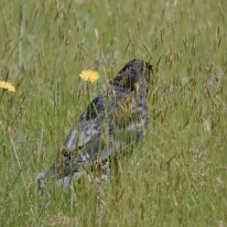 _1040148 Exposure adjusted