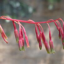 _1040469 Adjusted for exposure