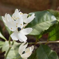 _1040474 Adjusted for exposure