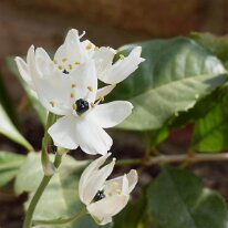 _1040478 Adjusted for exposure