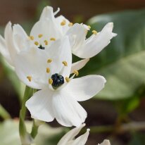 _1040484 Adjusted for exposure