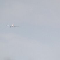 _1050006 Adjusted for exposure