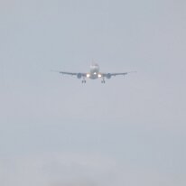 _1050007 Adjusted for exposure