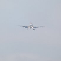 _1050008 Adjusted for exposure