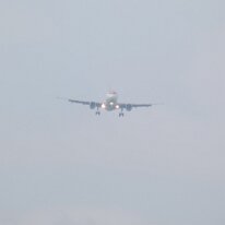 _1050009 Adjusted for exposure