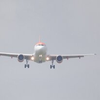 _1050017 Adjusted for exposure