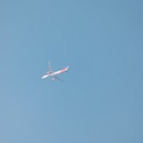 _1050234 Adjusted for exposure