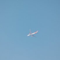 _1050236 Adjusted for exposure