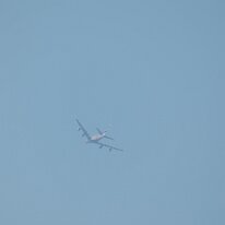 _1050239 Adjusted for exposure