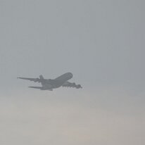 _1050240 Adjusted for exposure