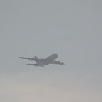 _1050241 Adjusted for exposure