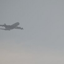 _1050242 Adjusted for exposure