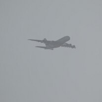 _1050243 Adjusted for exposure