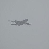 _1050244 Adjusted for exposure