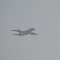 _1050246 Adjusted for exposure