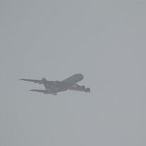 _1050247 Adjusted for exposure