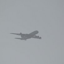 _1050248 Adjusted for exposure