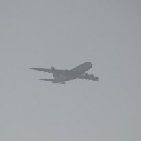 _1050249 Adjusted for exposure