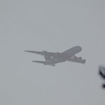 _1050250 Adjusted for exposure