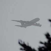 _1050251 Adjusted for exposure