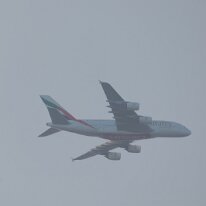 _1050252 Adjusted for exposure