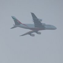 _1050254 Adjusted for exposure