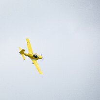 _1070133 Processed in Photoshop