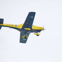 _1070152 Processed in Photoshop