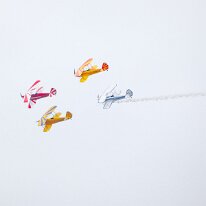 _1070251 Processed in Photoshop