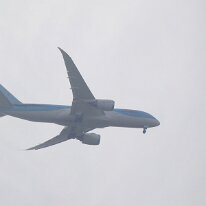 _1070970 Adjusted for Exposure