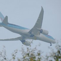 _1070975 Adjusted for Exposure