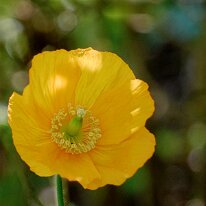 _1040131 Processed Photoshop