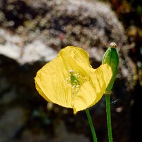 _1040188 Processed Photoshop