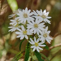 _1040204 Processed Photoshop