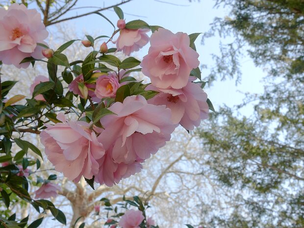 20250408 Standen Processed