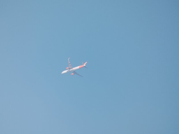 20250620 Drusillas Adjusted 4